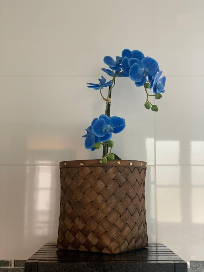 Natysweethome ماني لو أونغر المظهر الخارجي الصورة